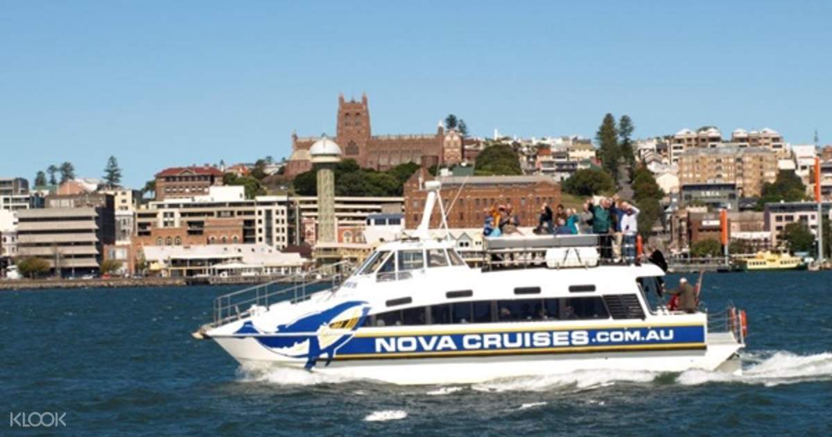 newcastle riverboat cruise
